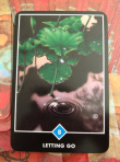Osho Zen Tarot: Letting Go