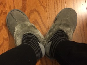 My usual blogging shoes. (Haven't been the same since that house fell on my sister...)